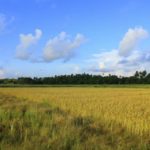 #India #Goa #Dudhsagarfalls #travelblog #maverickbird