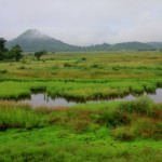 #India #travelblog #maverickbird