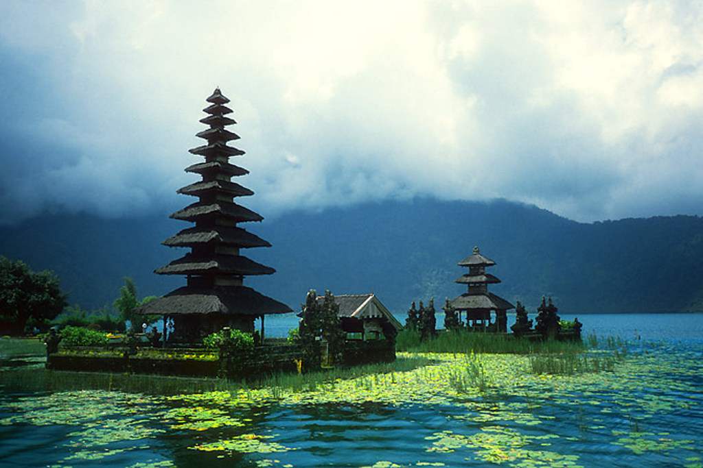 WanderOn Reviews: Bali, Butterflies and the Honeymoon We’ll Always Remember 