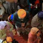 #India #travelblog #maverickbird