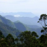 #India #travelblog #maverickbird