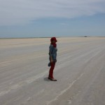 #India #travelblog #maverickbird