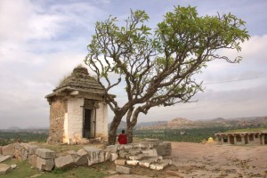 #India #travelblog #maverickbird