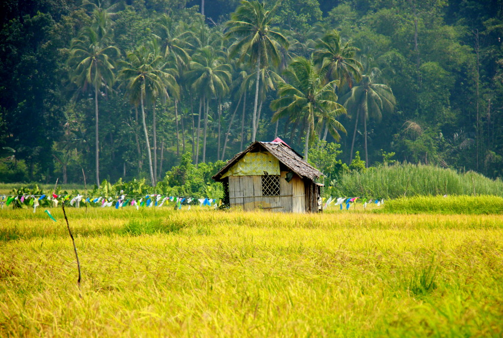 #Philippines #travelblog #bohol