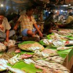 #Kolkata #Travelbloggerindia #Travelblog #Kolkatatravelblog #WestBengaltourism