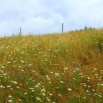 #Germanytravelblog #Travelbloggerindia #Colognetravelblog #Germanytourism