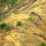 #travelbloggerindia #maharashtratourism #lonavla #travelblogindia #travelblogmaharashtra