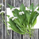 #Travelbloggerindia #Bärlauch #wildgarlic #Germanytravelblog #inspiringgermany #expatlifeingermany