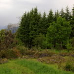 experience kalimpong in summer