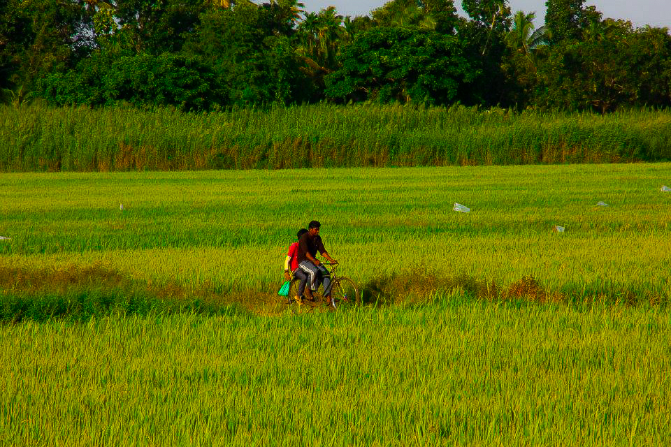 The lush countryside of Kollam