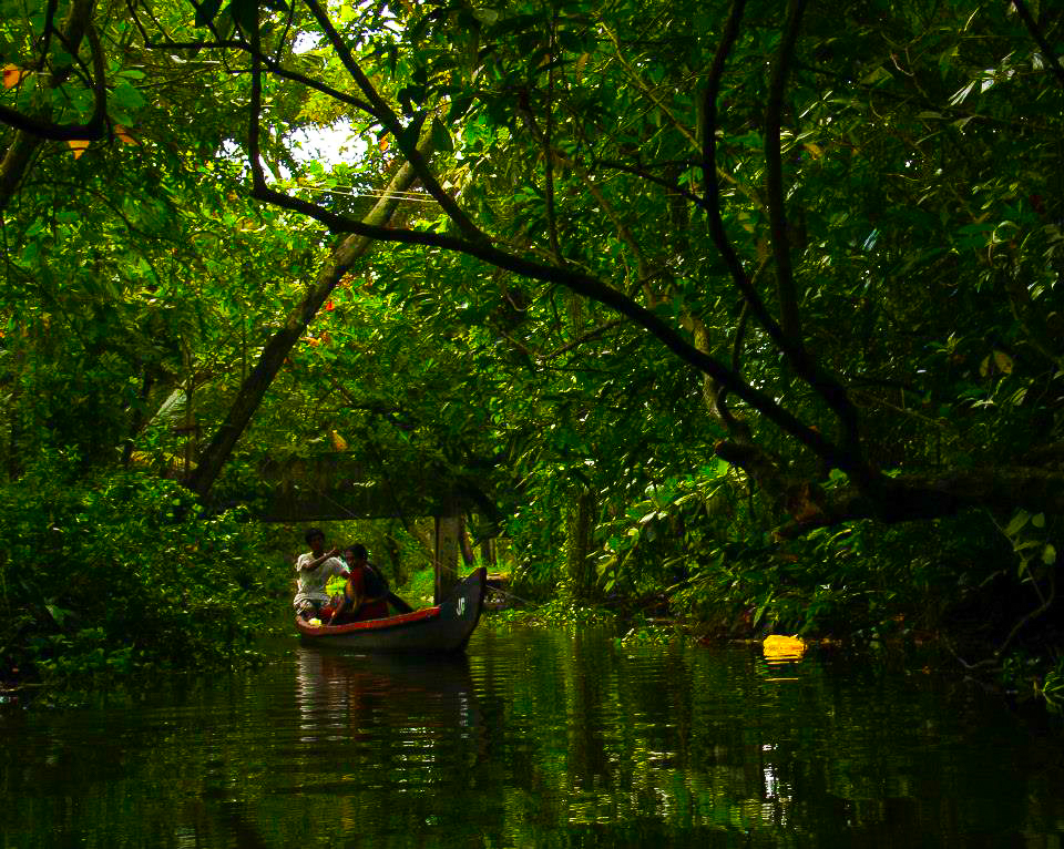 Life along the backwaters in Kollam is all about boats and palm trees