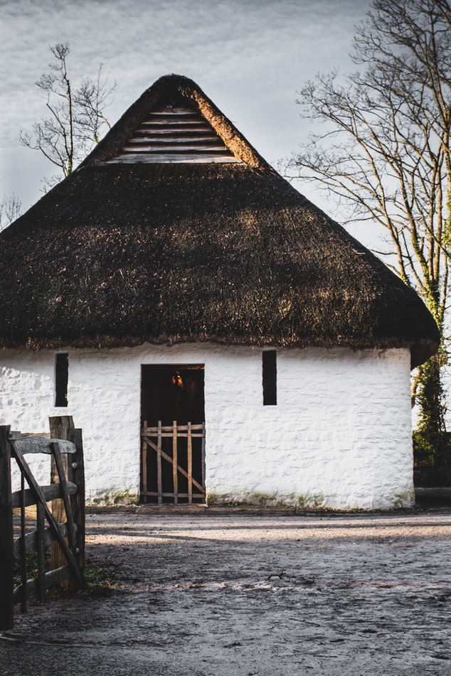 Photo by Charles Lamb on Unsplash