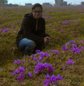 at a saffron field in pampore