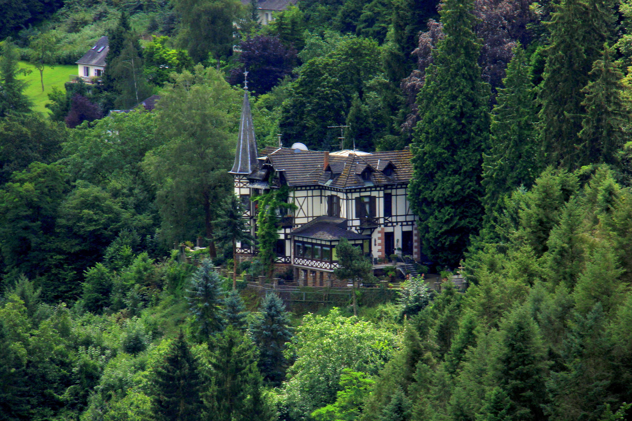 Cochem as seen from a hill top