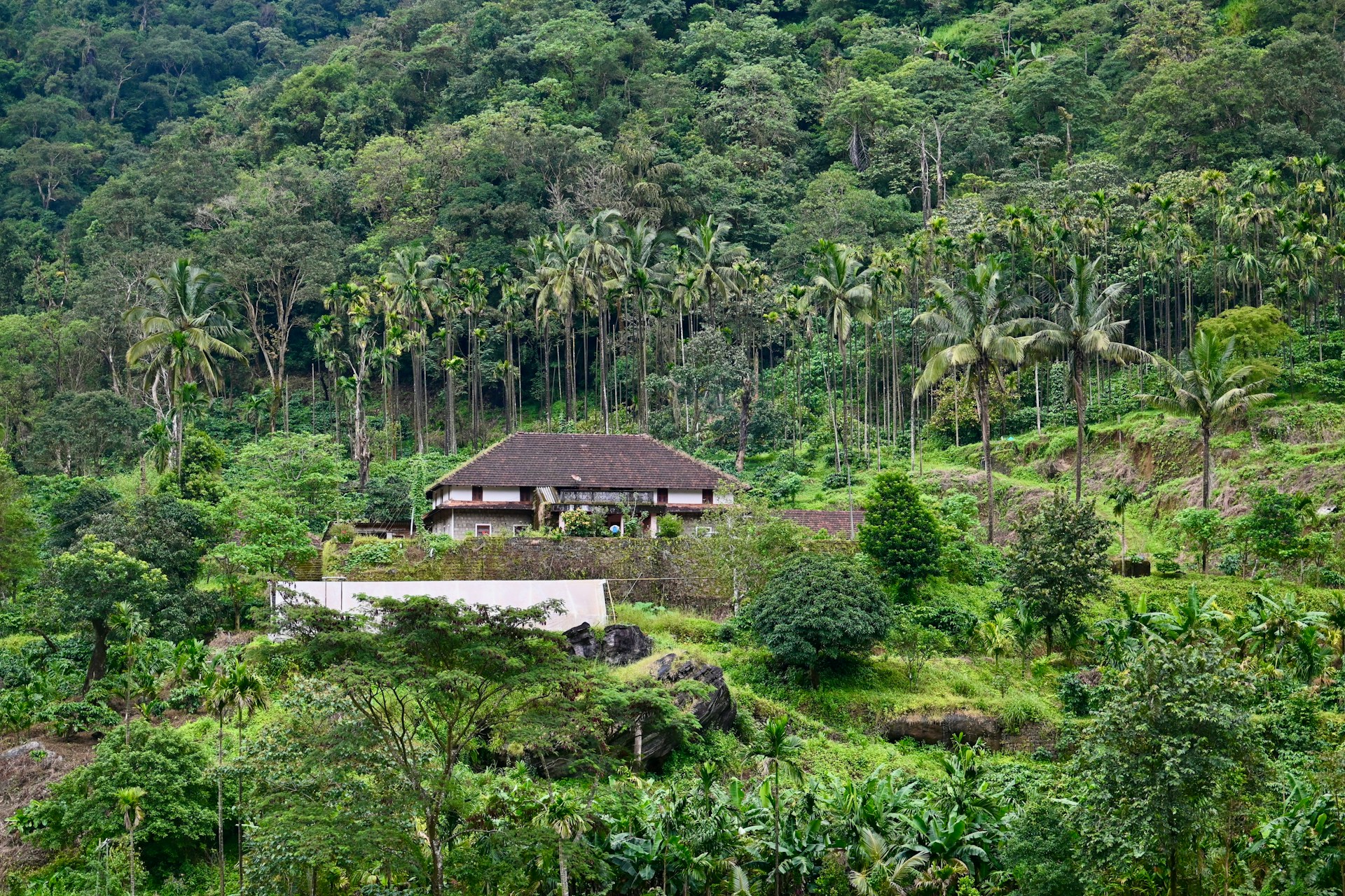 Best Places to Visit on a Coorg Solo Trip for Nature and Adventure Lovers