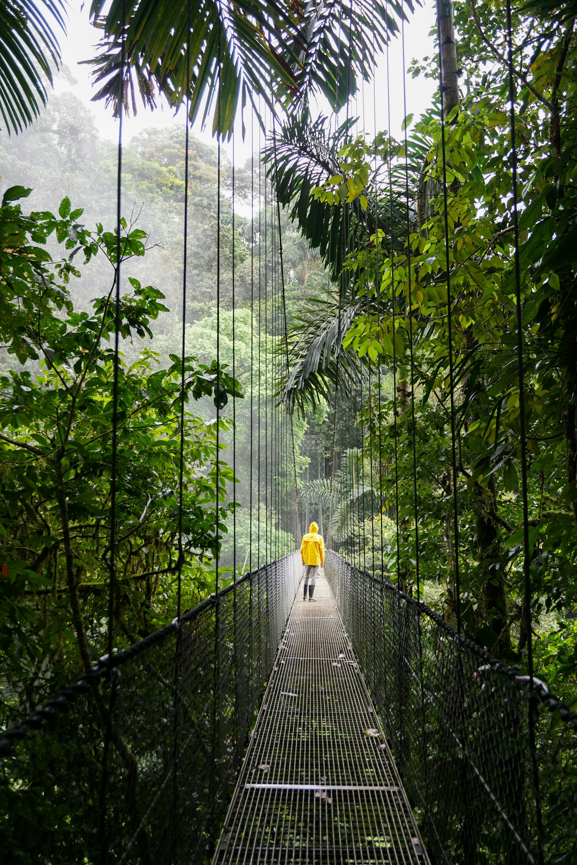 Why Costa Rica should be on every nature lover’s travel bucket list